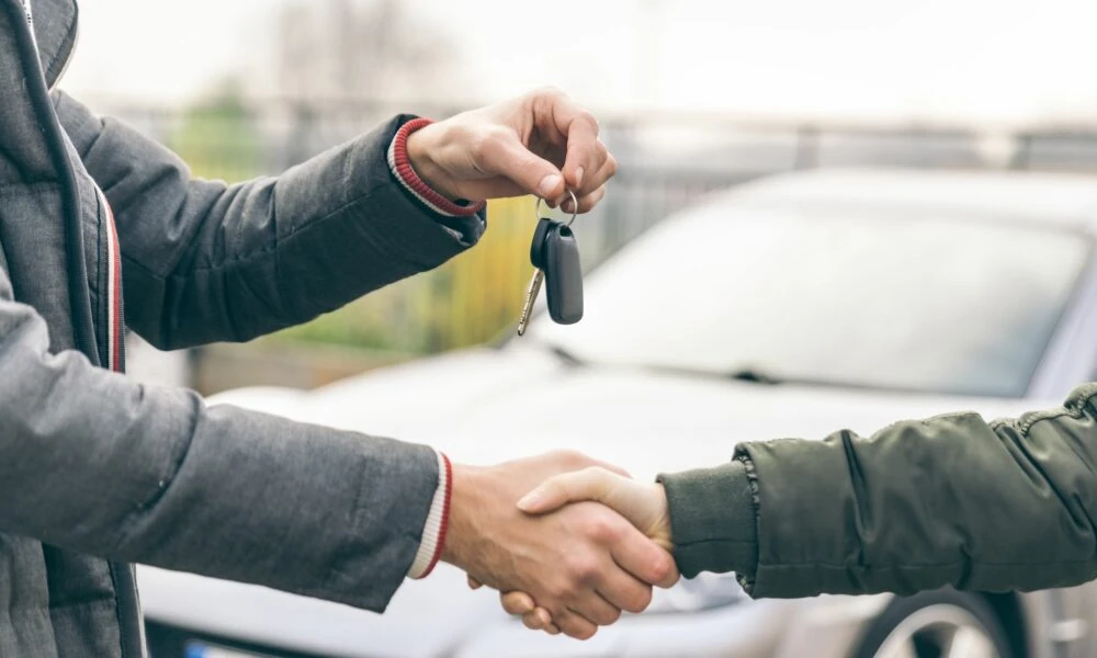 Browse Dependable Pre-Owned Models Designed for Daily Roads and Weekend Adventures